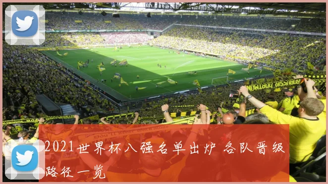 2021世界杯八强名单出炉 各队晋级路径一览